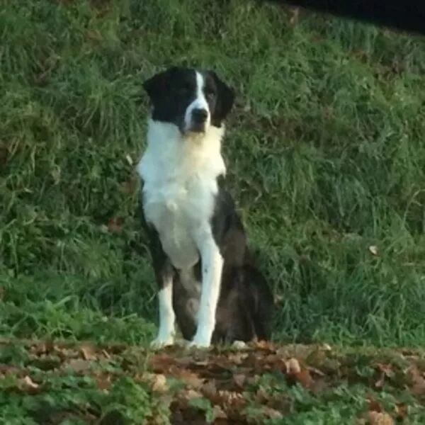 Transmettre et accompagner avec bienveillance