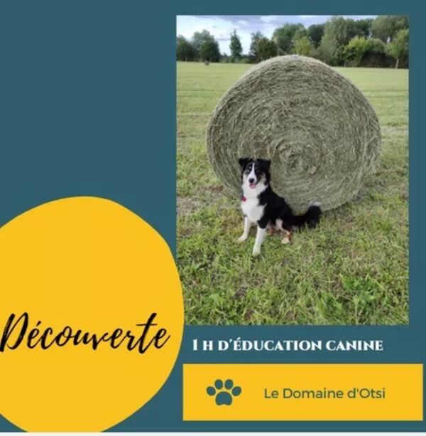 Séance Découverte 1h